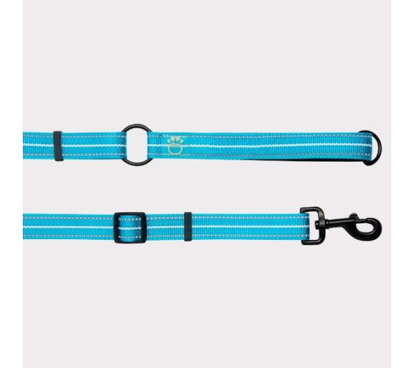Neon Blue - GF Pet Reflective Leash - EEZY-6 - XS/Small