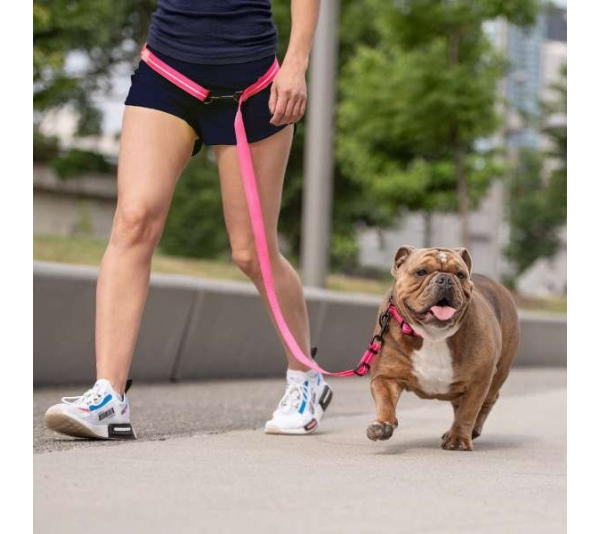 Neon Pink - GF Pet Reflective Leash - EEZY-6 - Medium/Large