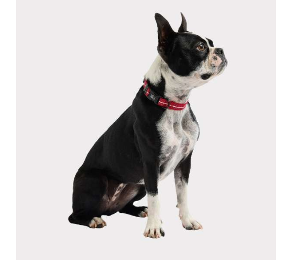 Red - GF Pet  Reflective Collar - XS