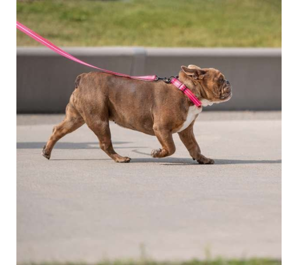 Neon Pink - GF Pet  Reflective Leash - Medium/Large
