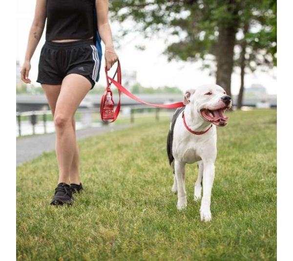 Red - GF Pet  Reflective Leash - Medium/Large