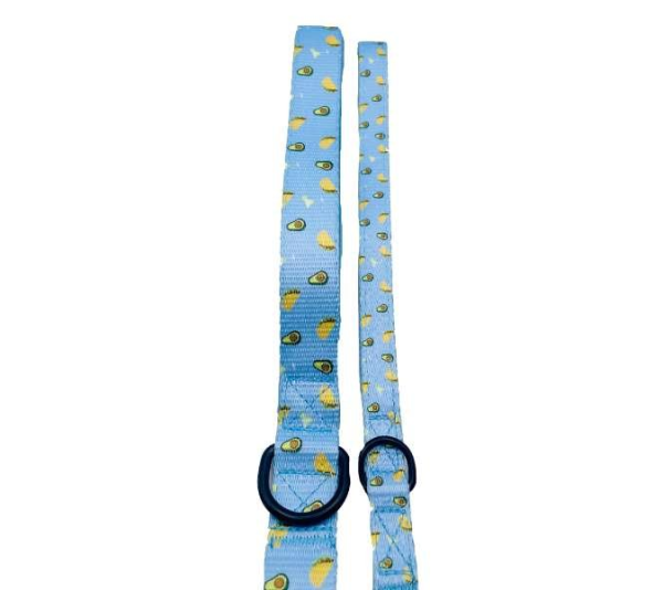 Taco Tuesday - Cutie Ties Fun Design Dog Leash - Large