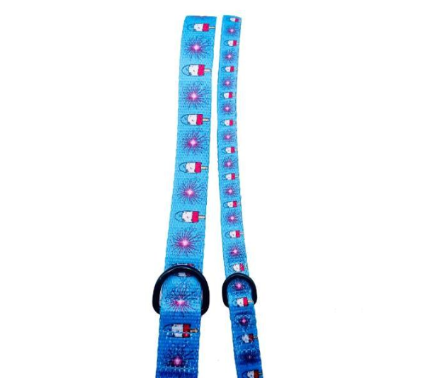 4th of July - Cutie Ties Fun Design Dog Leash - Large