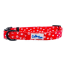 Paw Prints & Hearts Red - Cutie Ties Fun Design Dog Collar - Large