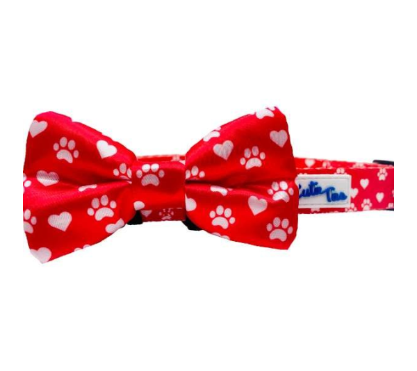 Paw Prints & Hearts Red - Cutie Ties Fun Design Dog Collar - Medium