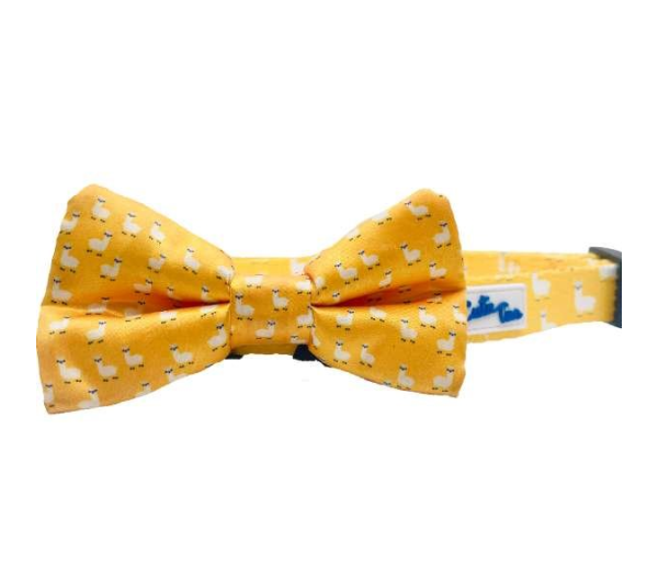 Llama Yellow - Cutie Ties Fun Design Dog Collar - Small