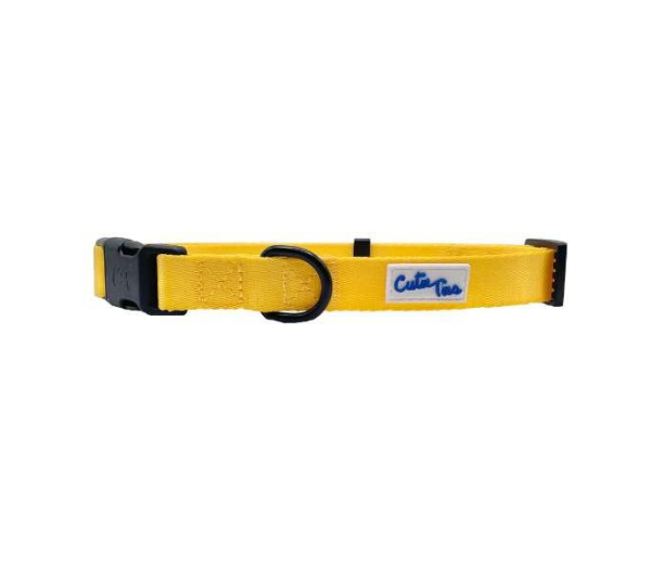 Yellow - Cutie Ties Fun Design Dog Collar - Medium