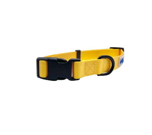 Yellow - Cutie Ties Fun Design Dog Collar - Small