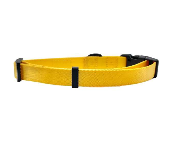 Yellow - Cutie Ties Fun Design Dog Collar - Medium