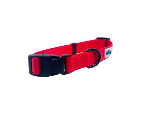 Red - Cutie Ties Fun Design Dog Collar - Medium