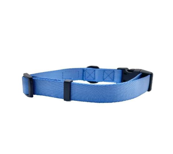 Blue - Cutie Ties Fun Design Dog Collar - Medium