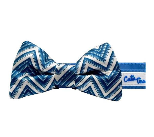 Blue - Cutie Ties Fun Design Dog Collar - Medium