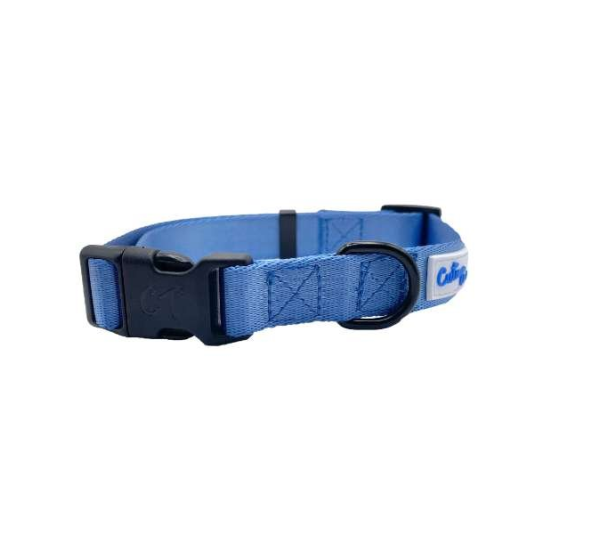 Blue - Cutie Ties Fun Design Dog Collar - Small