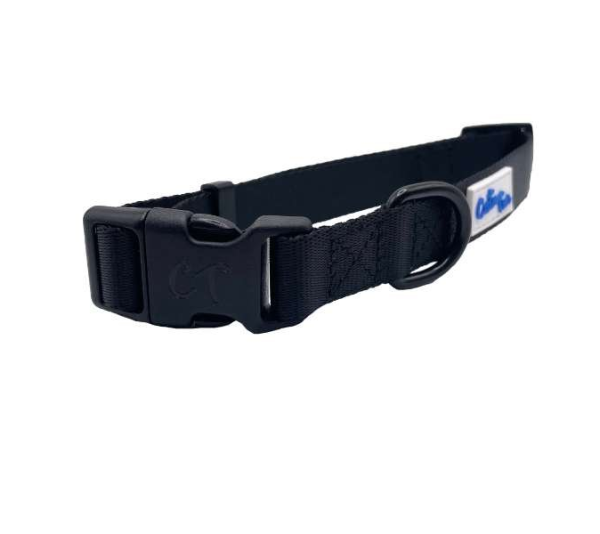 Black - Cutie Ties Fun Design Dog Collar - Medium