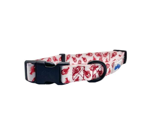 Lobster White - Cutie Ties Fun Design Dog Collar - Medium