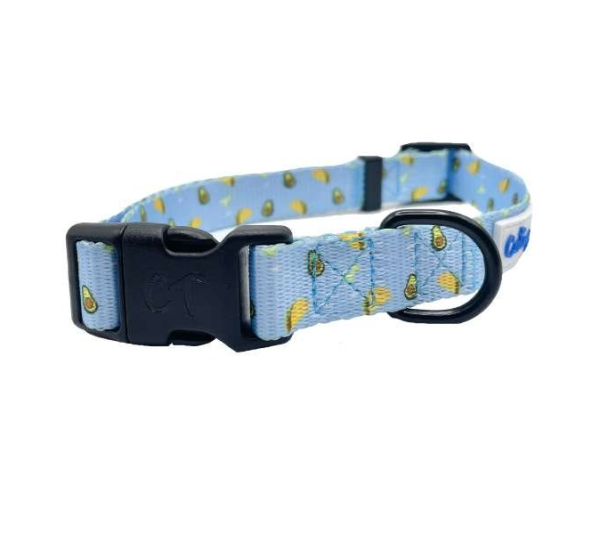 Taco Tuesday - Cutie Ties Fun Design Dog Collar - Large