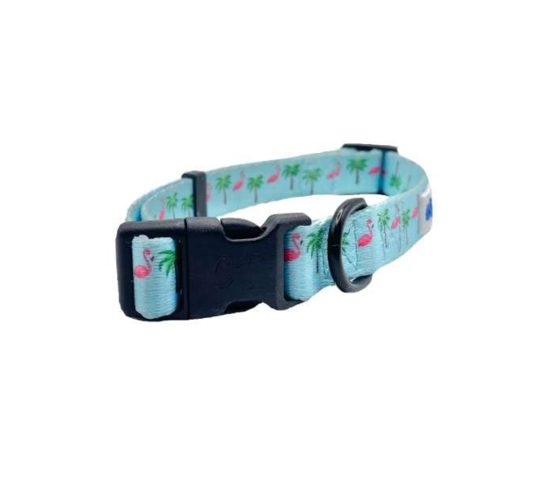 Flamingo Miami Vice - Cutie Ties Fun Design Dog Collar - Medium