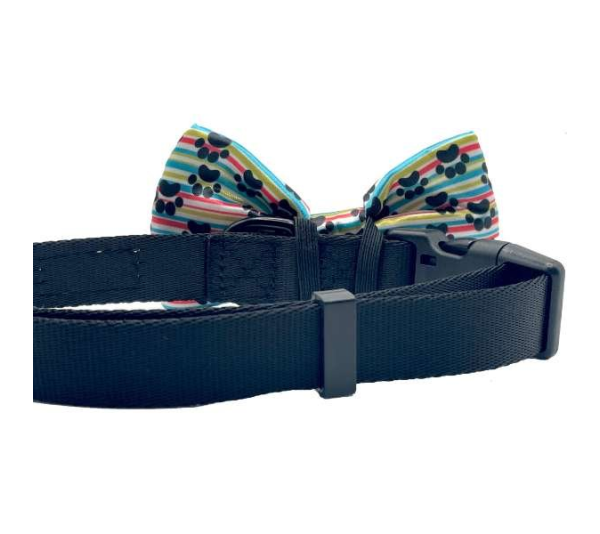 Print - Cutie Ties Dog Bow Tie - One Size