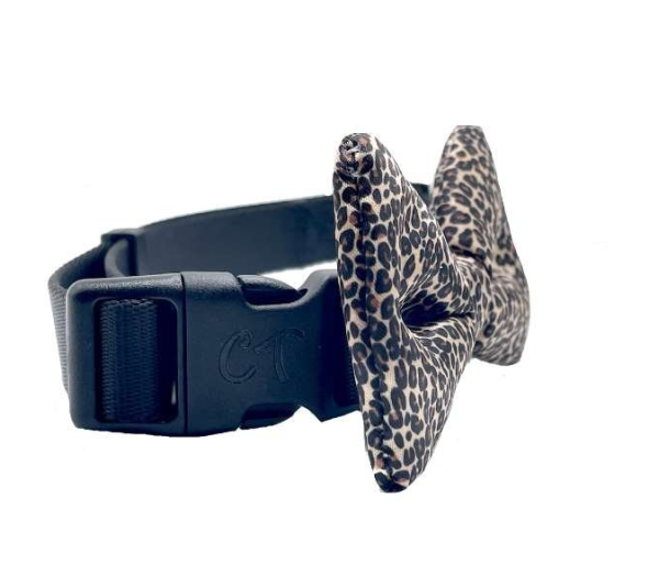 Leopard Print - Cutie Ties Dog Bow Tie - One Size