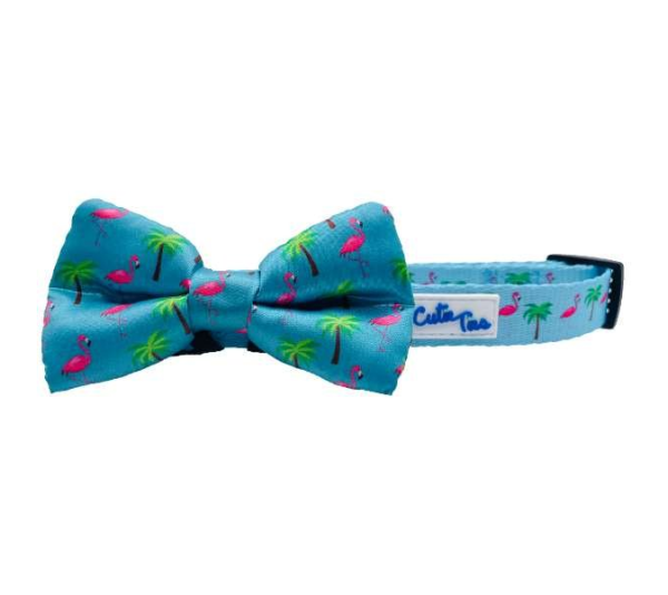 Miami Vice - Cutie Ties Dog Bow Tie - One Size