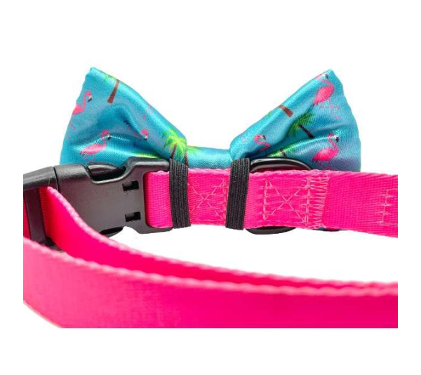 Miami Vice - Cutie Ties Dog Bow Tie - One Size