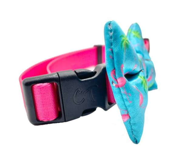 Miami Vice - Cutie Ties Dog Bow Tie - One Size