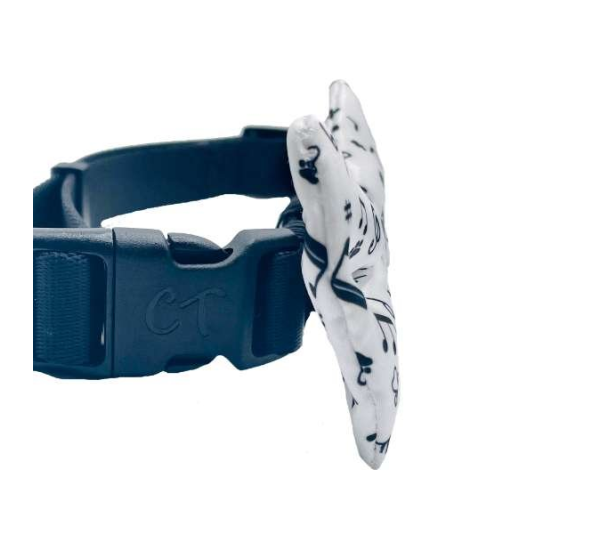 Music Notes - Cutie Ties Dog Bow Tie - One Size