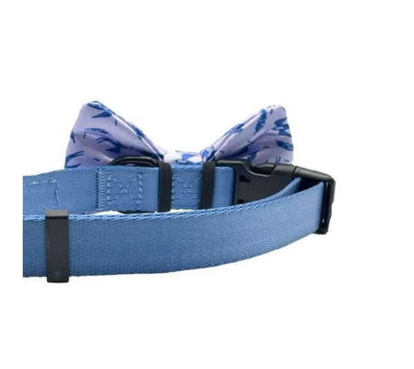 Swallow & Feather - Cutie Ties Dog Bow Tie - One Size