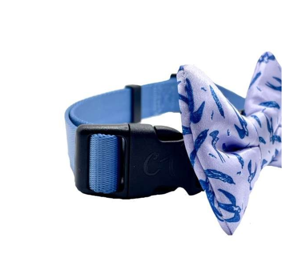 Swallow & Feather - Cutie Ties Dog Bow Tie - One Size