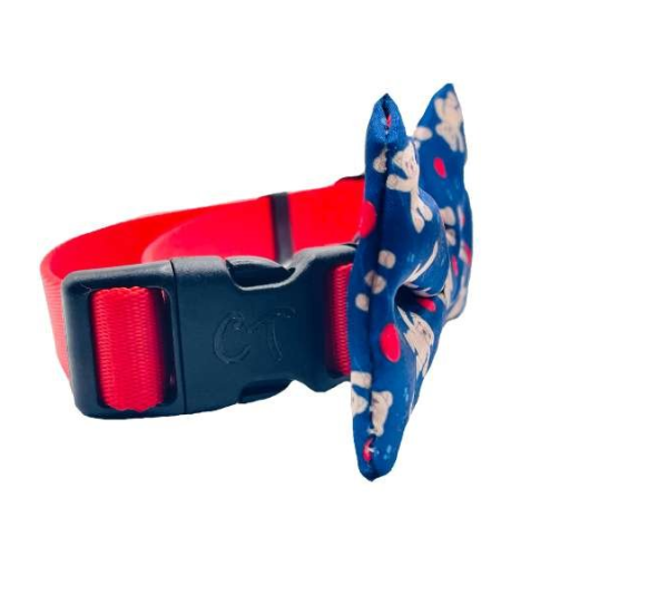 Teddy Bear - Cutie Ties Dog Bow Tie - One Size