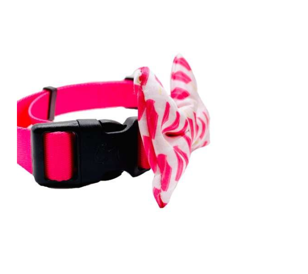 Ice Pops - Cutie Ties Dog Bow Tie - One Size