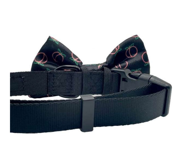 Neon Peach - Cutie Ties Dog Bow Tie - One Size