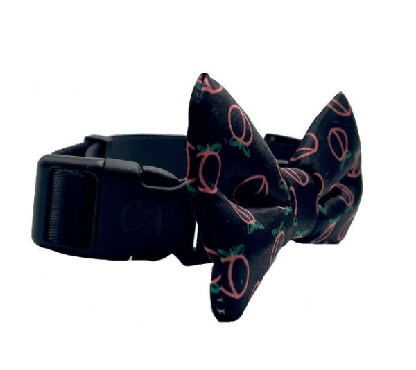 Neon Peach - Cutie Ties Dog Bow Tie - One Size