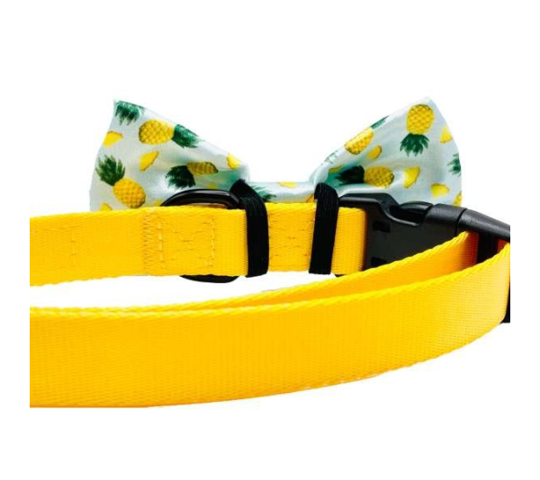 Tropic Like It's Hot - Cutie Ties Dog Bow Tie - One Size