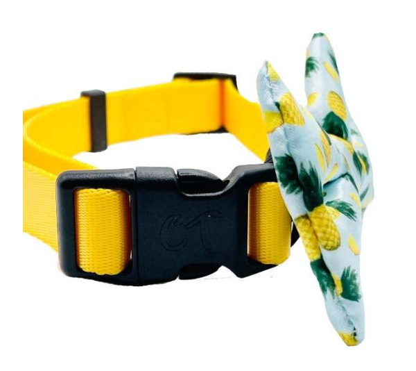 Tropic Like It's Hot - Cutie Ties Dog Bow Tie - One Size