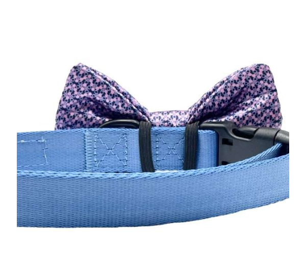 Pink & Blue - Cutie Ties Dog Bow Tie - One Size