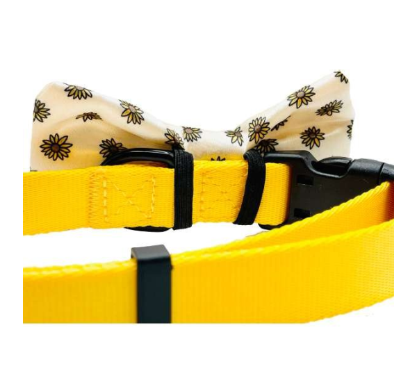 Sunflower - Cutie Ties Dog Bow Tie - One Size