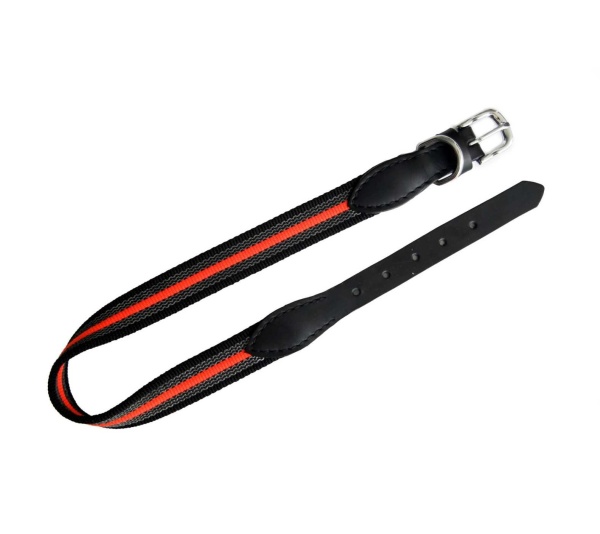 Alvalley Reflective Anti-Slip Dog Collar with Buckle (16 in x 3/4 in) - 16 in x 3/4 in