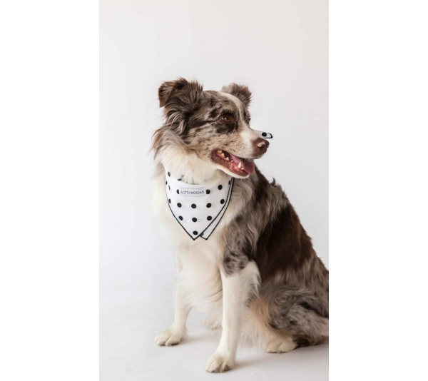 Classic Dots  - Buddy Dog Bandana - L