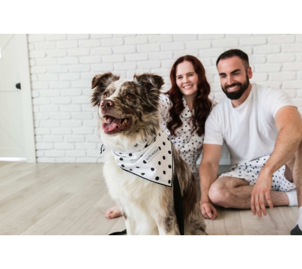 Classic Dots  - Buddy Dog Bandana - L