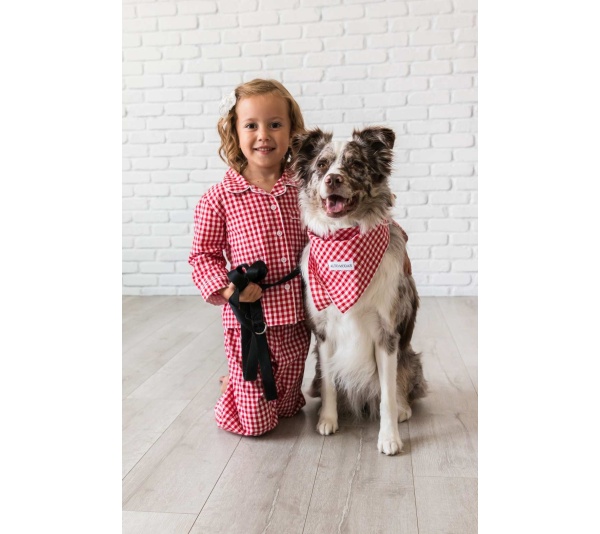 Red Gingham  - Buddy Dog Bandana - L