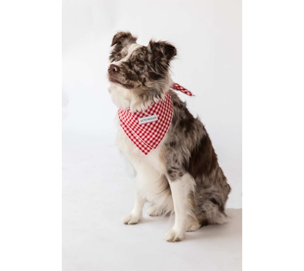 Red Gingham  - Buddy Dog Bandana - S