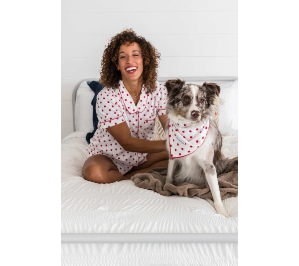 Seersucker Dots - Buddy Dog Bandana - L