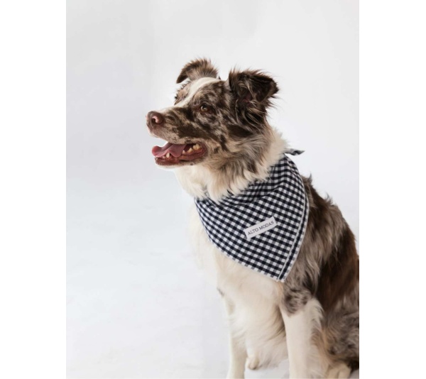 Navy Gingham  - Buddy Dog Bandana - L