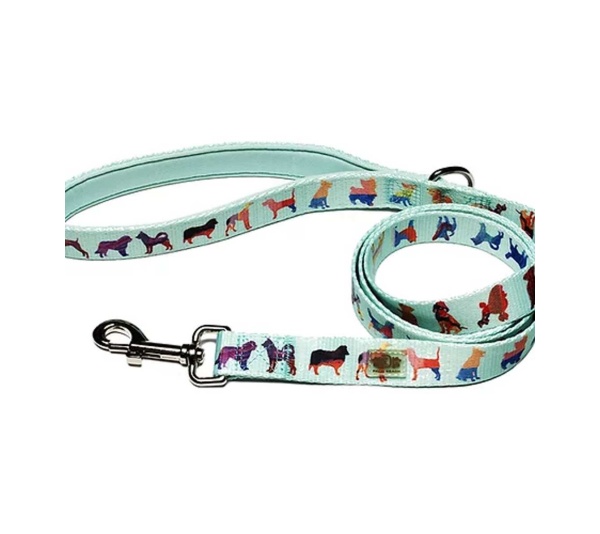Seafoam - Dog Leash  - Large