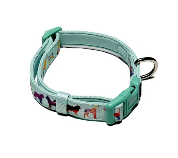 Seafoam - Dog Collar  - Small-adjustable