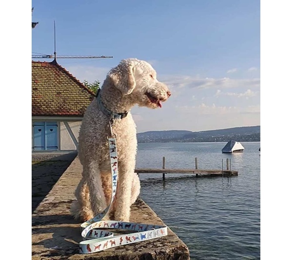 Seafoam - Dog Leash  - Large