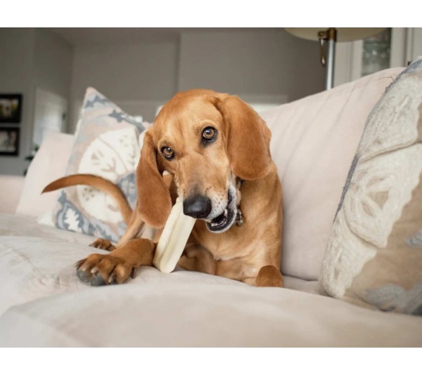 yellow - Moo Dog Chews - large