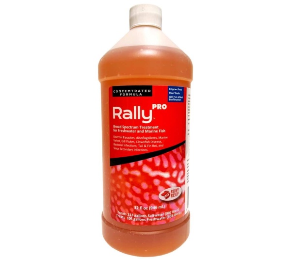 Rally PRO - 32 oz