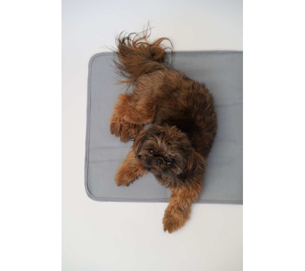 Thera-Pawz Warming Pad - Small